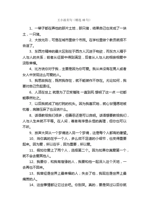 王小波名句（精选40句）