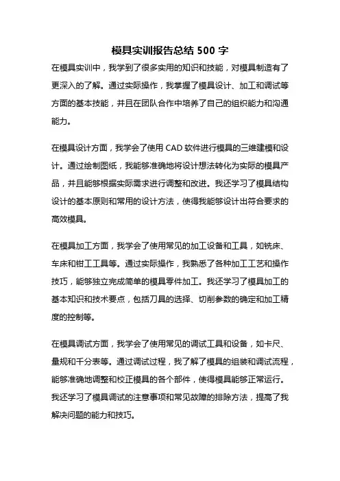 模具实训报告总结500字