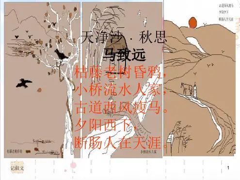 作文白描写法运用作文课件
