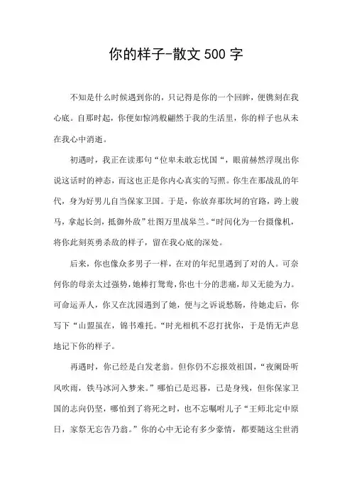 你的样子-散文500字
