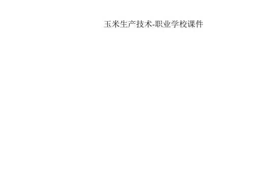 玉米生产技术-职业学校课件