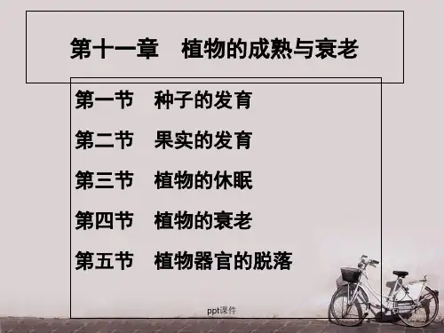 第十一章  植物的成熟与衰老  ppt课件