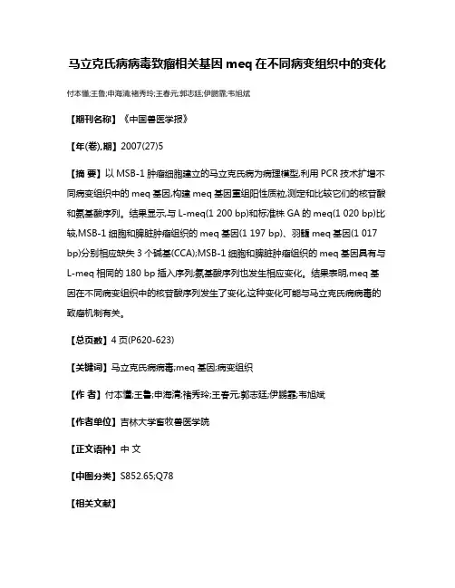 马立克氏病病毒致瘤相关基因meq在不同病变组织中的变化