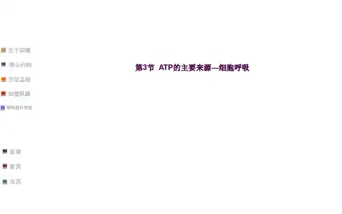 细胞呼吸适合一轮复习自己做的公开课ppt课件