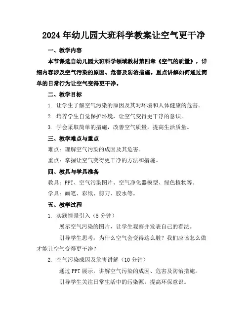 2024年幼儿园大班科学教案让空气更干净