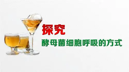 《探究酵母菌细胞呼吸的方式》说课课件(全国实验说课大赛获奖案例)