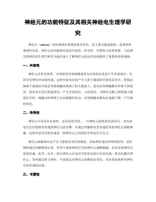 神经元的功能特征及其相关神经电生理学研究