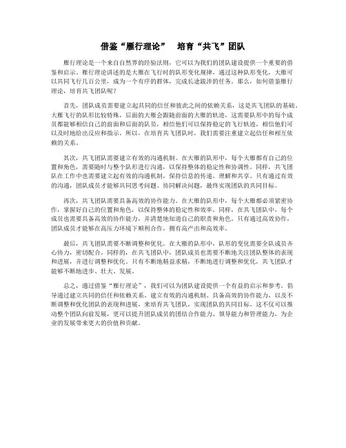 借鉴“雁行理论” 培育“共飞”团队