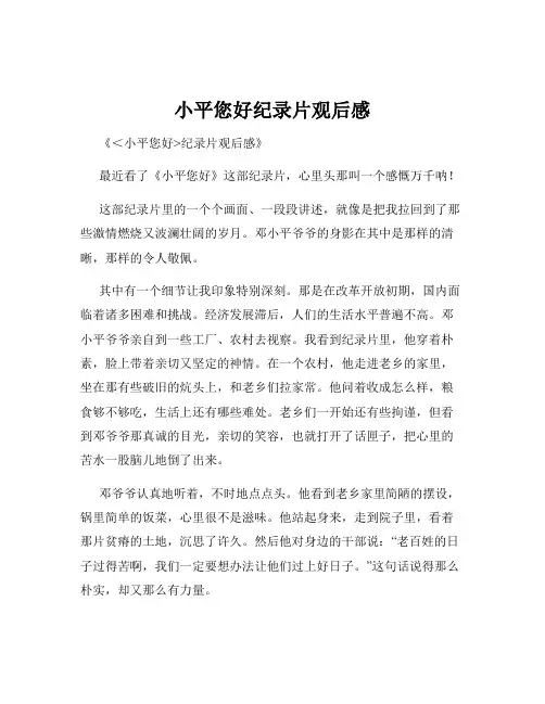 小平您好纪录片观后感
