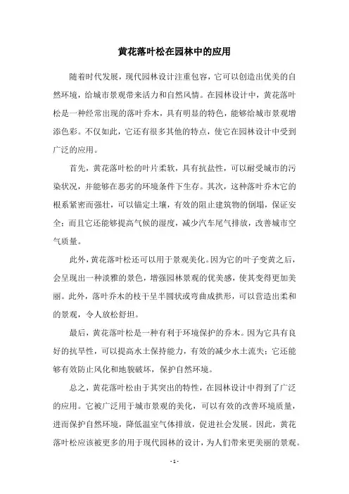 黄花落叶松在园林中的应用