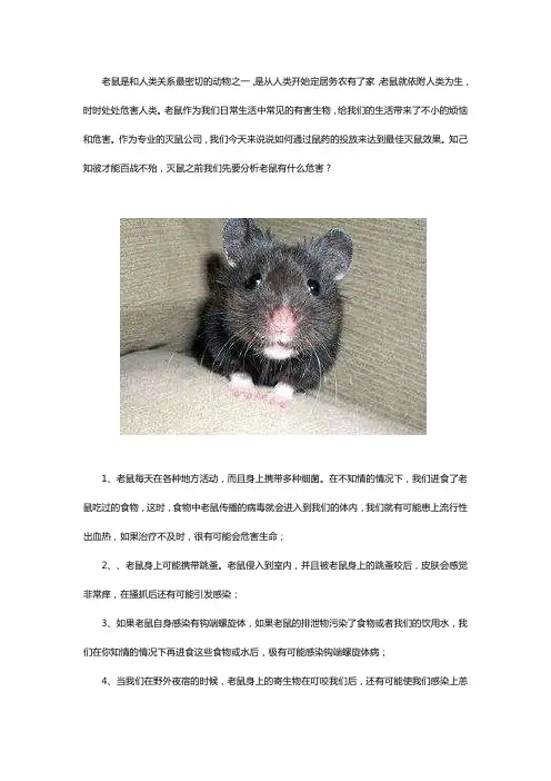 灭鼠公司用鼠药灭鼠效果好吗