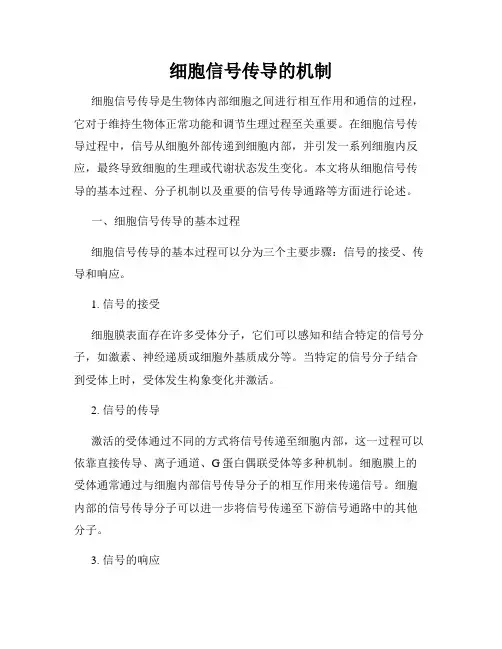 细胞信号传导的机制
