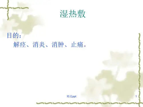 湿热敷ppt课件