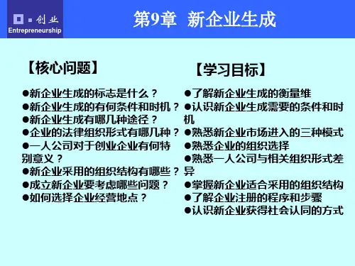 第9章 新企业生成