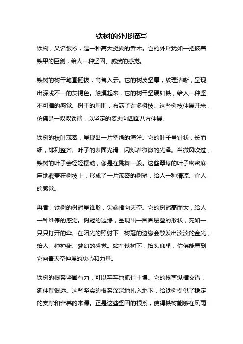 铁树的外形描写