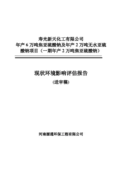 环境影响评价报告公示：年产6万吨焦亚硫酸钠及年产2万吨无水亚硫酸钠项目(一期年产2万吨焦亚硫酸钠)环