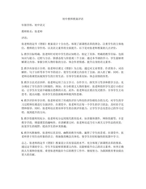 初中教师教案评语