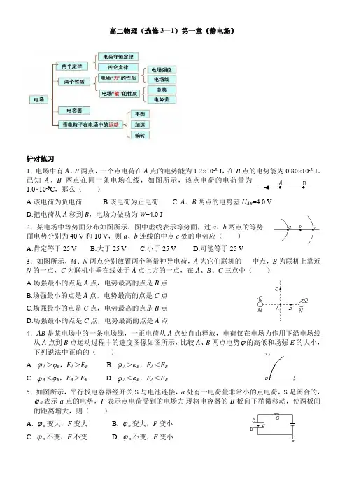 人教版 高二物理 选修3-1 第一章 静电场总复习(题型归类)(无答案)