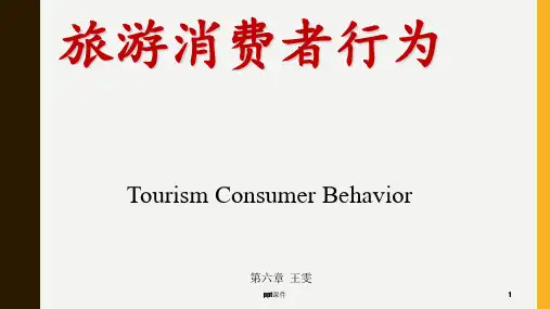 旅游消费者行为第六章个性 ppt课件