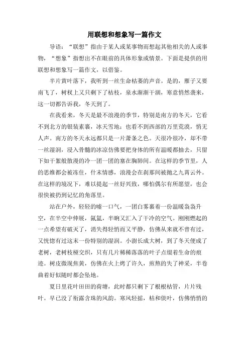用联想和想象写一篇作文