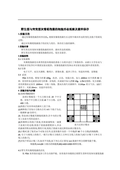 灰葡萄孢菌的细胞形态观察及菌种保存