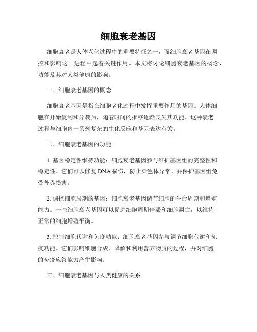细胞衰老基因