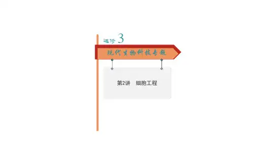 新高考一轮复习人教版细胞工程课件