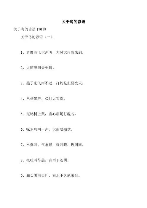 关于鸟的谚语