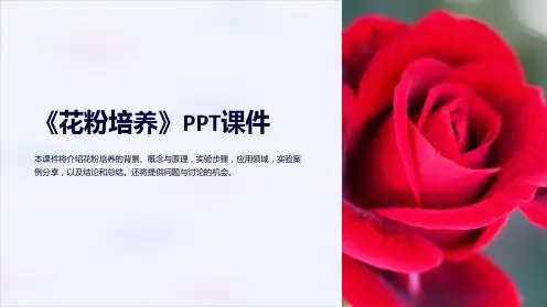 《花粉培养》课件