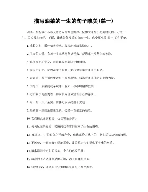 描写油菜的一生的句子唯美(精选合集2篇)