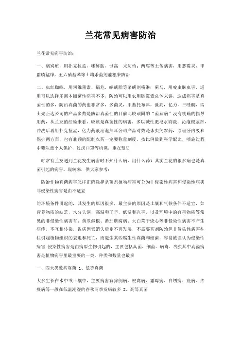 兰花常见病害防治