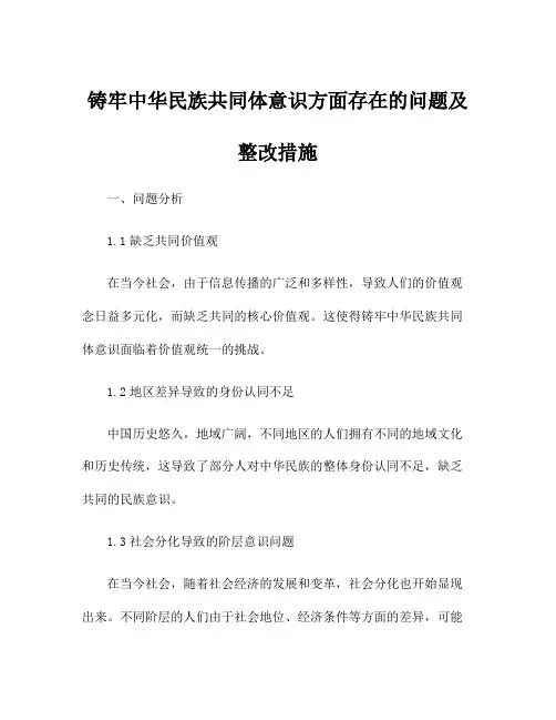 铸牢中华民族共同体意识方面存在的问题及整改措施