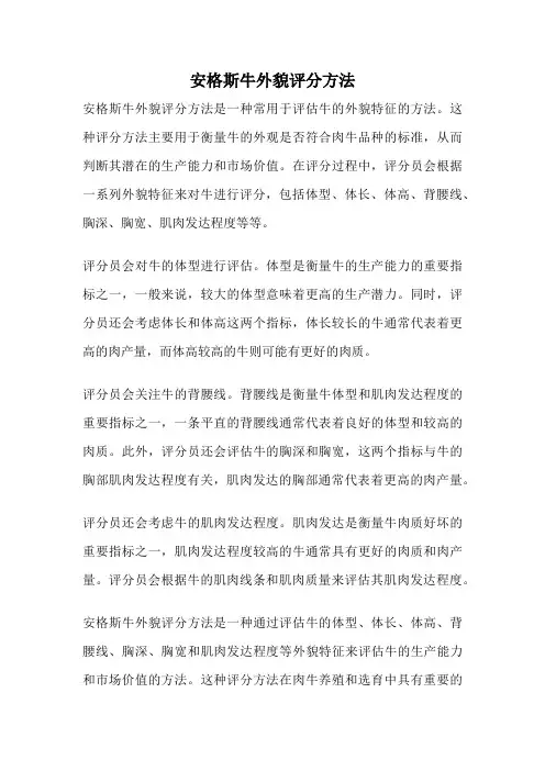安格斯牛外貌评分方法