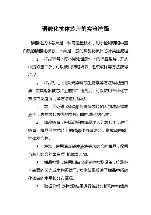 磷酸化抗体芯片的实验流程