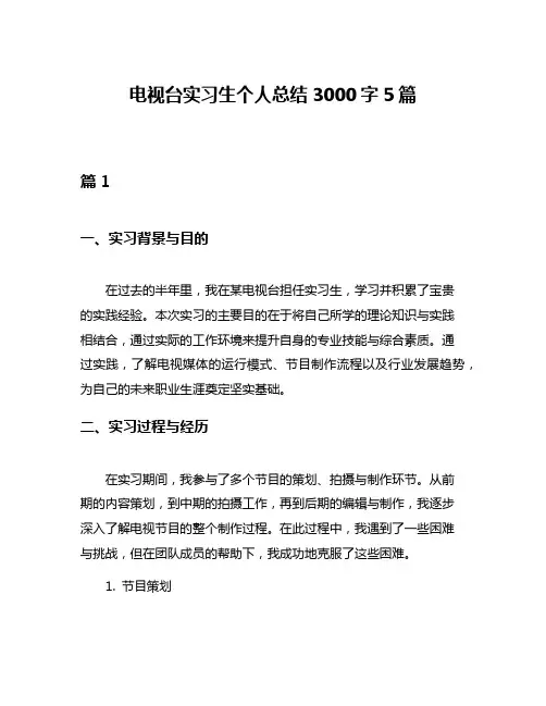 电视台实习生个人总结3000字5篇