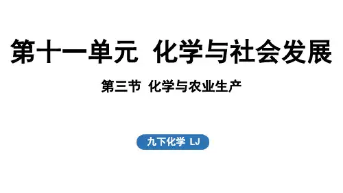 11.3化学与农业生产课件---2024--2025学年九年级化学鲁教版(2024)下册