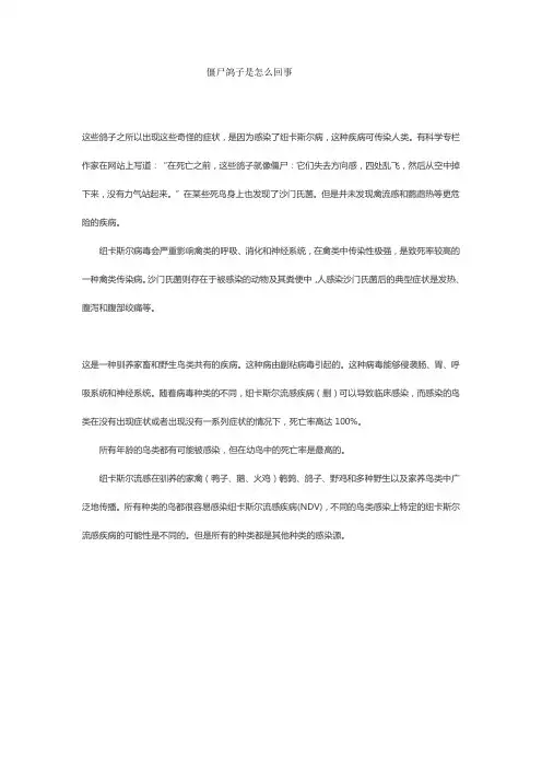 僵尸鸽子是怎么回事