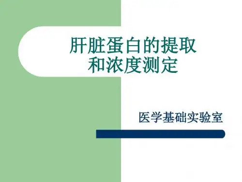 肝脏蛋白的提取和浓度测定