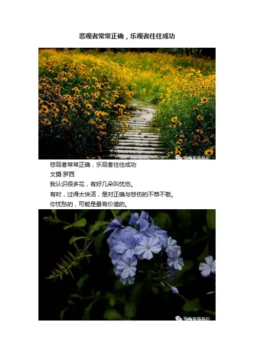 悲观者常常正确，乐观者往往成功