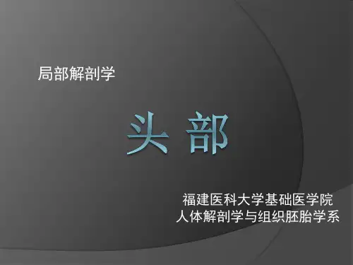局解课件-理论课—头部