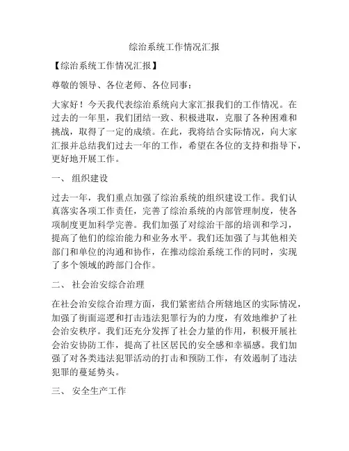 综治系统工作情况汇报