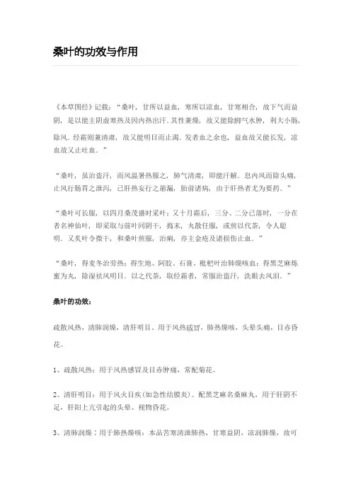 桑叶的神奇功效