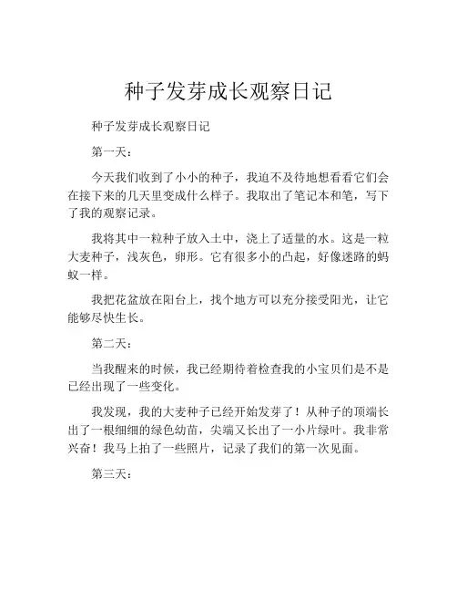 种子发芽成长观察日记