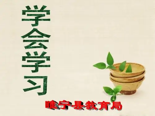 学会学习主题教育PPT