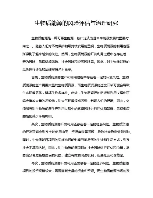 生物质能源的风险评估与治理研究