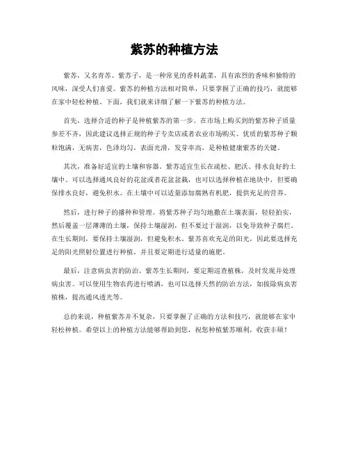 紫苏的种植方法