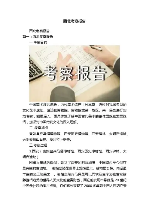 西北考察报告