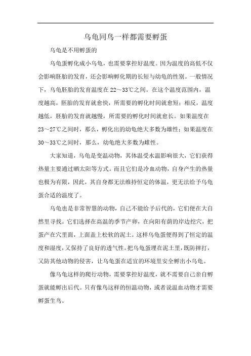 乌龟同鸟一样都需要孵蛋