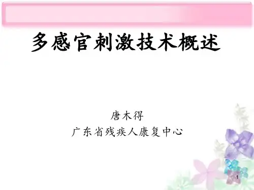 多感官刺激技术概述PPT课件
