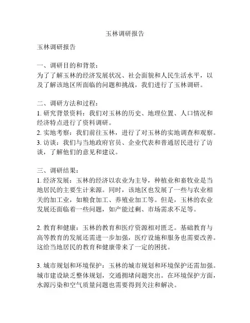 玉林调研报告